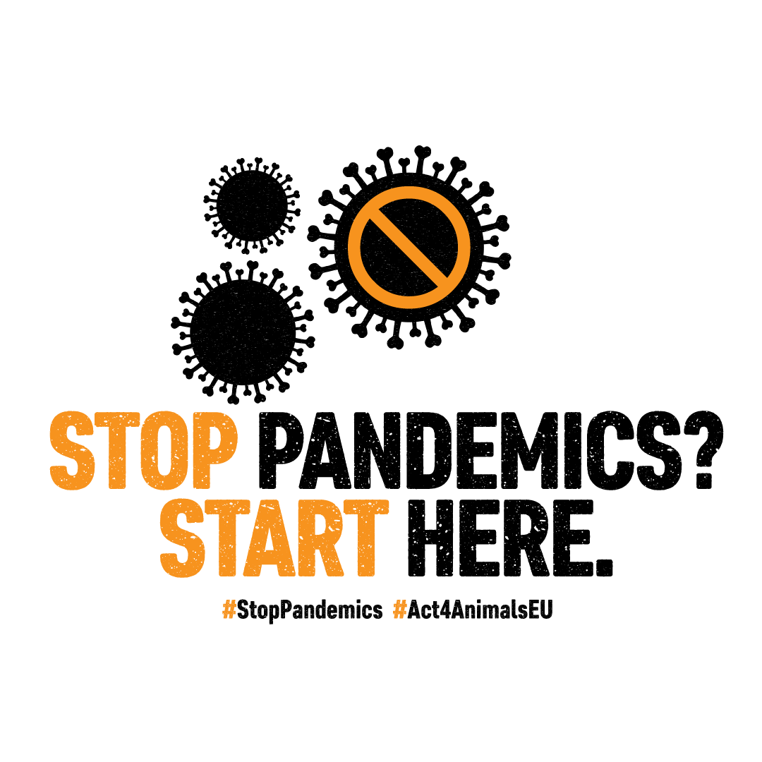 Stop pandemics? Start here!