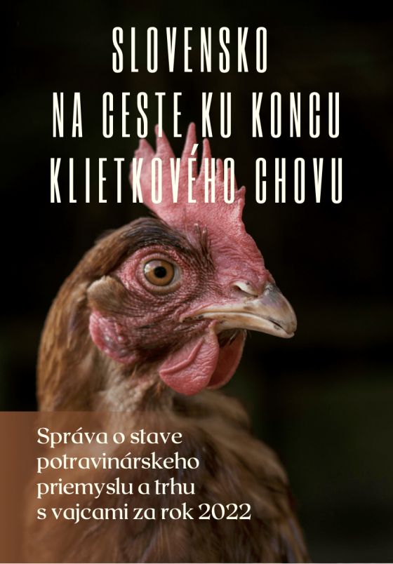 Obalka_Slovensko-na-ceste-ku-koncu-klietkoveho-chovu_Sprava-o-stave-potravinarskeho-priemyslu-a-trhu-s-vajcami-za-rok-2022