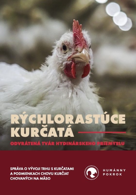 Rychlorastuce_kurcata_2025_report
