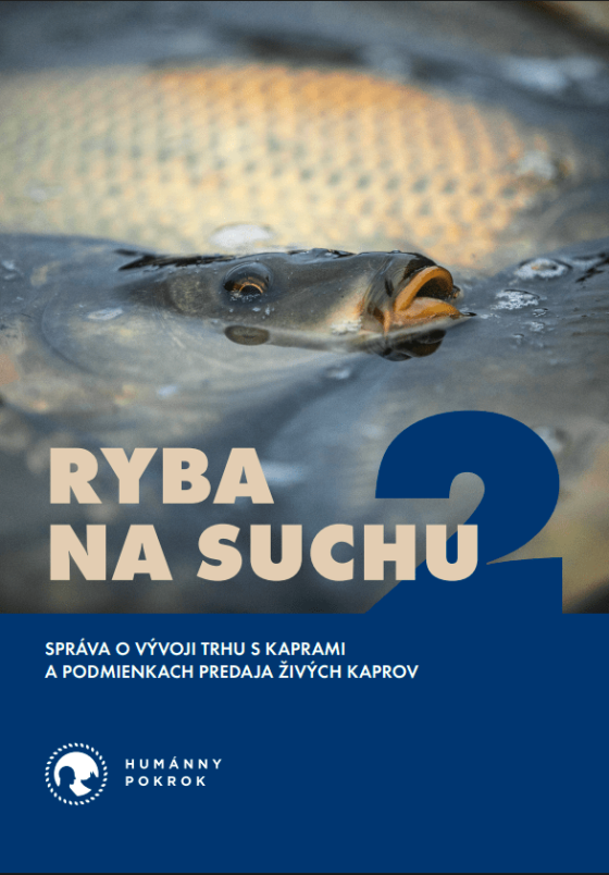 Snímka obrazovky zo dňa 2025-06-11 18-11-12