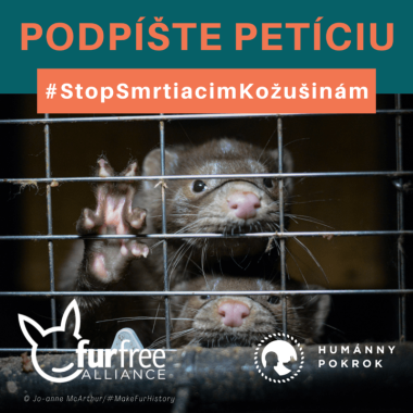 picture-lightbox-160693526310260065535fc7e2df942da